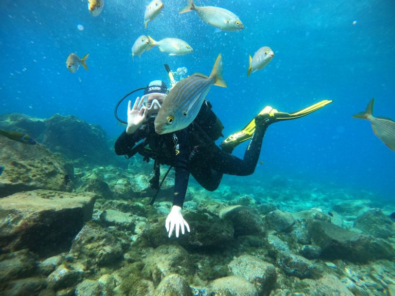 Diving Tenerife Tenerifesurf.camp